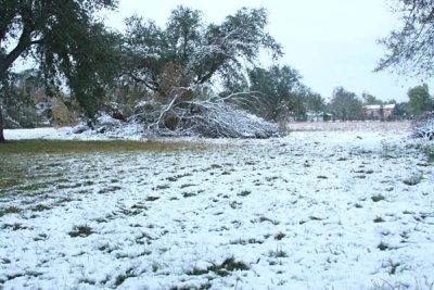 6 - The Pasture.jpg