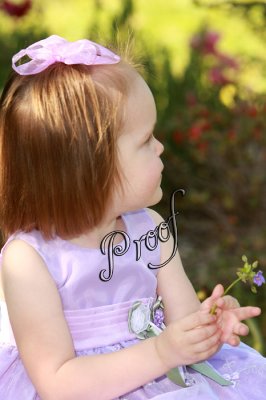 IMG_3967 copy.jpg