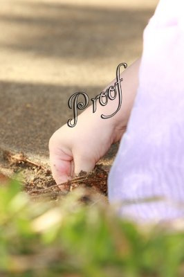 IMG_3990 copy.jpg
