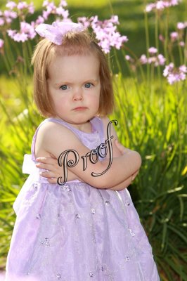 IMG_4011 copy.jpg