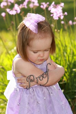 IMG_4012 copy.jpg