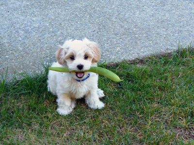 August - September 2008