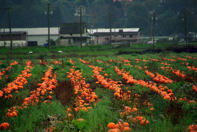 October 9