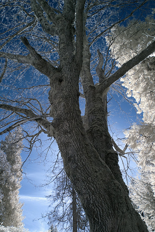 Riverview Cemetery