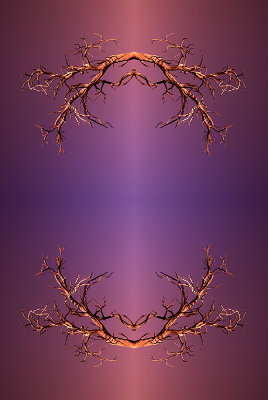 g1/23/19323/3/107347051.DPlOJXcQ.jpg