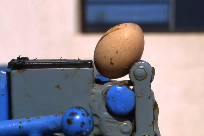 Egg machine