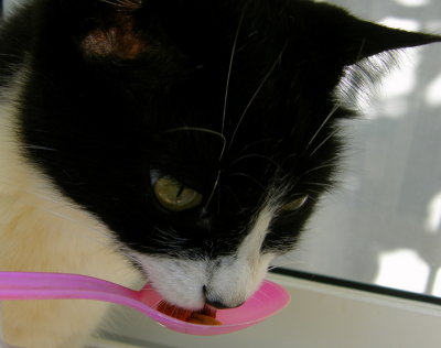 Pink spoon