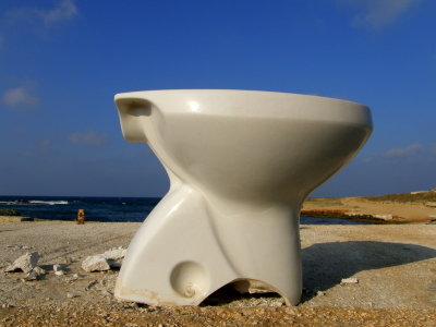 Water closet and sea