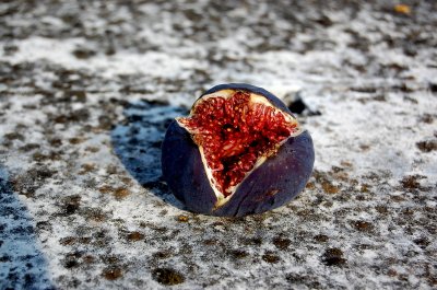 Red fig