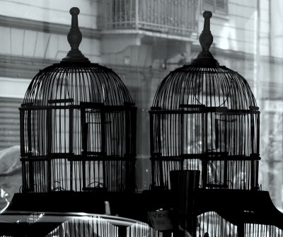 Cages