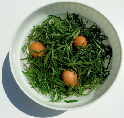Salad  wild Arugula (American English), Rucola (Italian) and Eggs