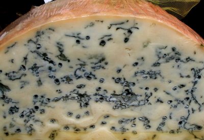 gorgonzola italian cheese