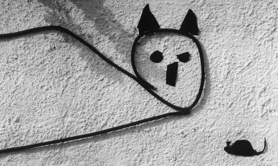 Cat and mouse