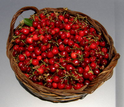 cherries