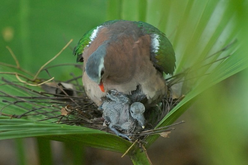 Oct 17  A Mothers touch