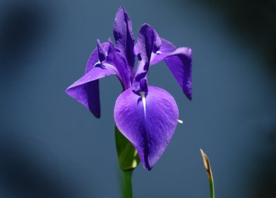 May 6