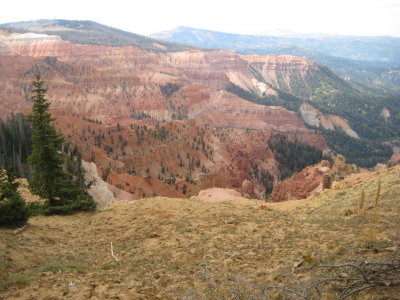 KOTW2 012.jpg