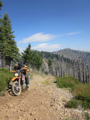 TAT2012 036.jpg