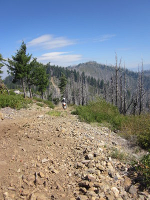 TAT2012 038.jpg