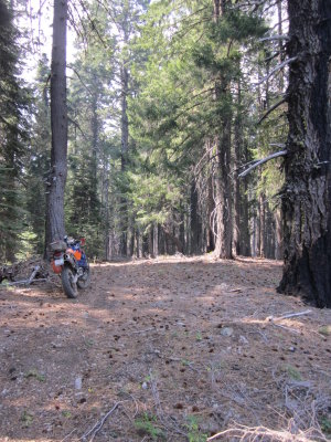 TAT2012 040.jpg