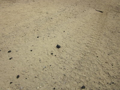 TAT2012 048.jpg