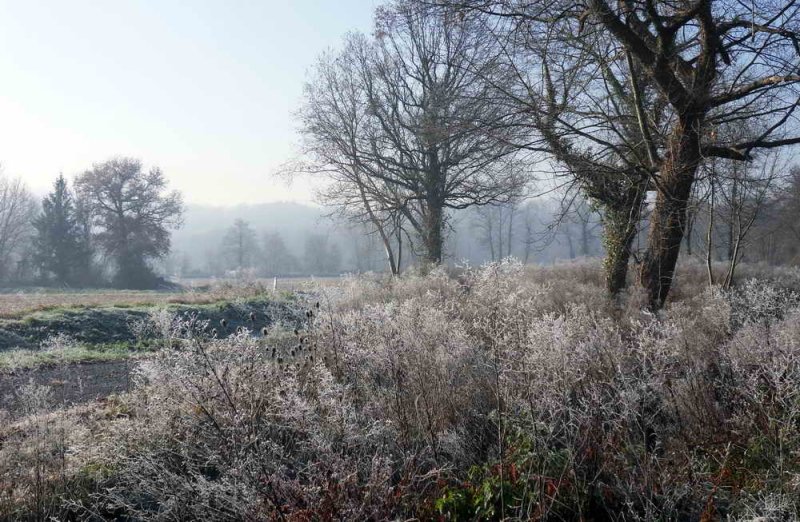 Douceur de givre et de brume matinale