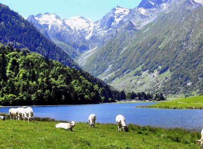 Lac d'Estaing