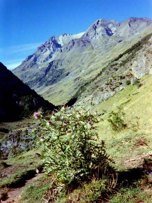 04.jpg