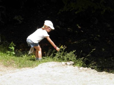 D'abord quelques fleurs  jeter dans le ruisseau