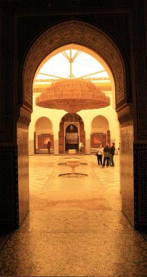 IMG_9464.jpg
