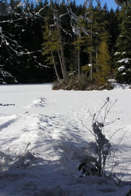 Alice Lake Frozen