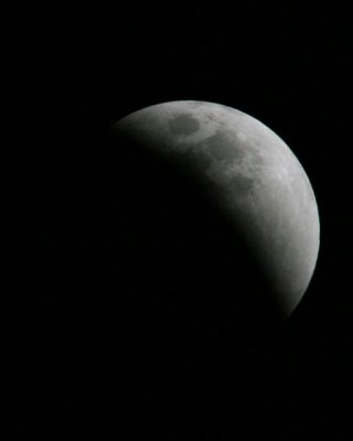 g1/23/374823/3/93227975.l1ZCsccI.jpg