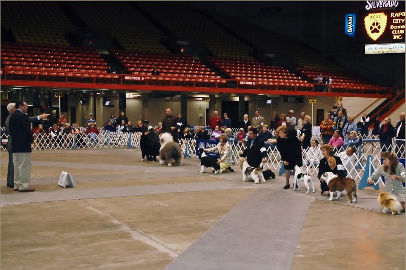 BIS #2,  Final lineup with the Judge pointing at the Bulldog