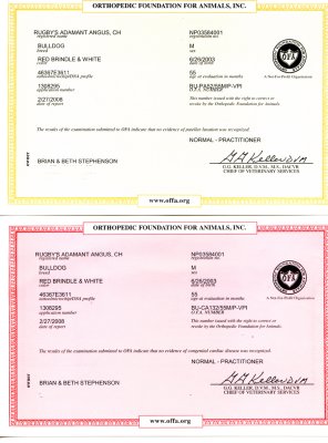 ANGUS OFA Certificates