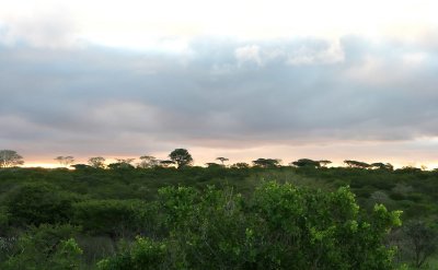 Africa 190.jpg