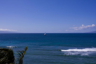 Maui 2009 256.jpg