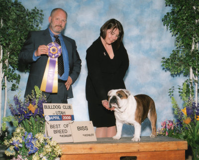 Best of Breed #122 Bulldog Club of Utah, Best in Specialty Show 04/29/2009