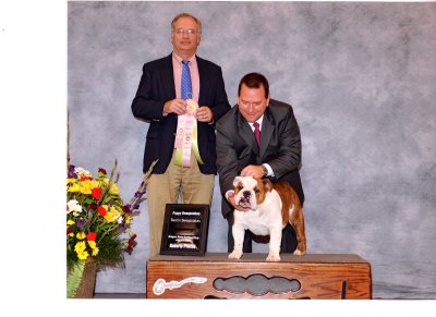Specialty Best in Sweeps - 6 months old