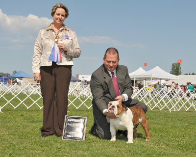 WD, BW, BOS -- Breeder Judge: Ms. Claire Johnson July 25 09