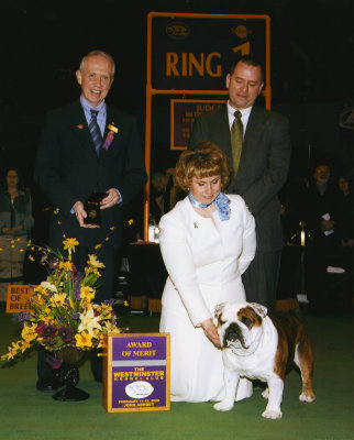 Westminster Kennel Club 2008 - First Award of Merit