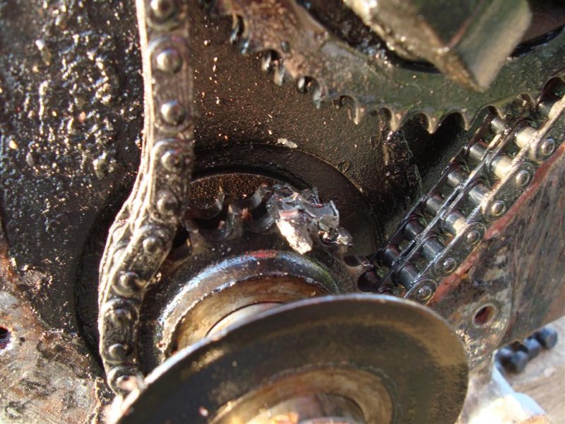 DSC01460 (Large).JPG