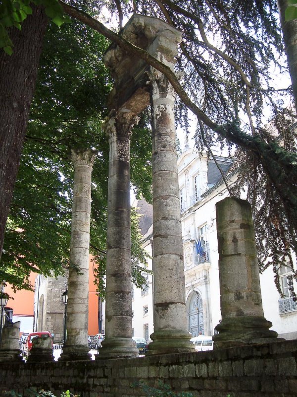 DSC00594.jpg