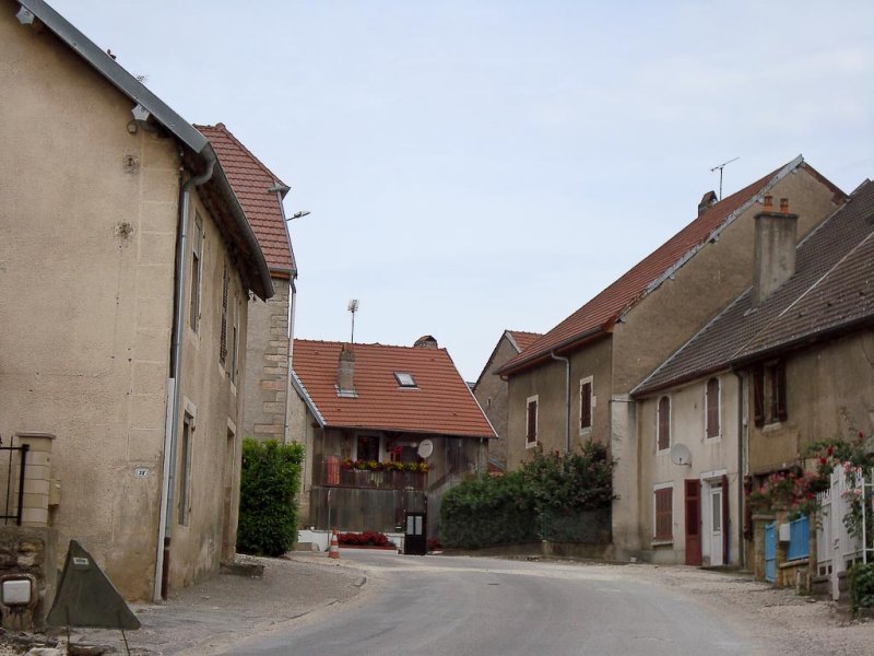 DSC00880.jpg