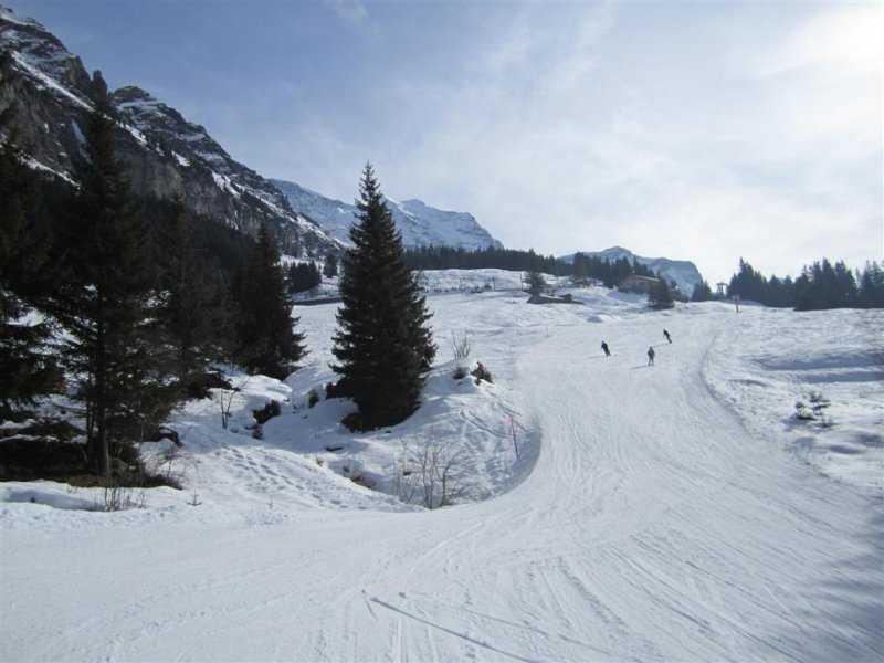 IMG_0091 (Large).jpg