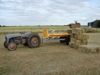 Hay Making 2010