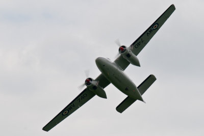 DSC_2036.jpg