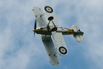 DSC_2053.jpg