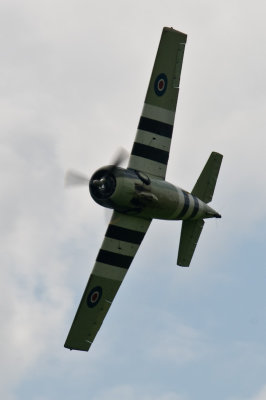 DSC_2100.jpg