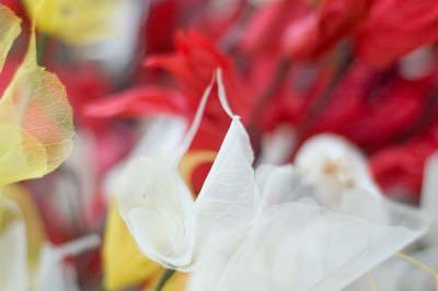 DSC_3448.jpg