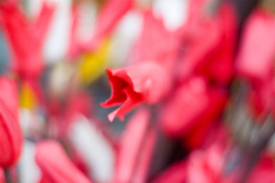DSC_3449.jpg